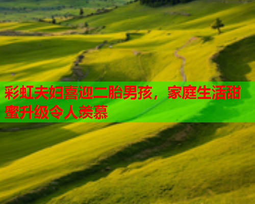 彩虹夫妇喜迎二胎男孩，家庭生活甜蜜升级令人羡慕